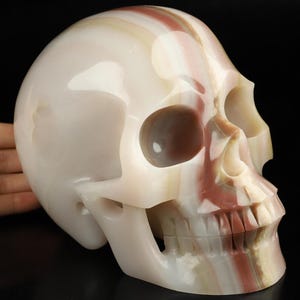 Skullis Kristallschädel, lebensgroßer 6,7 &quot;&quot;afghanischer Jade handgeschnitzter Kristallschädel, realistische, Kristallheilung, Kunstskulptur zum Sammeln.&quot;
