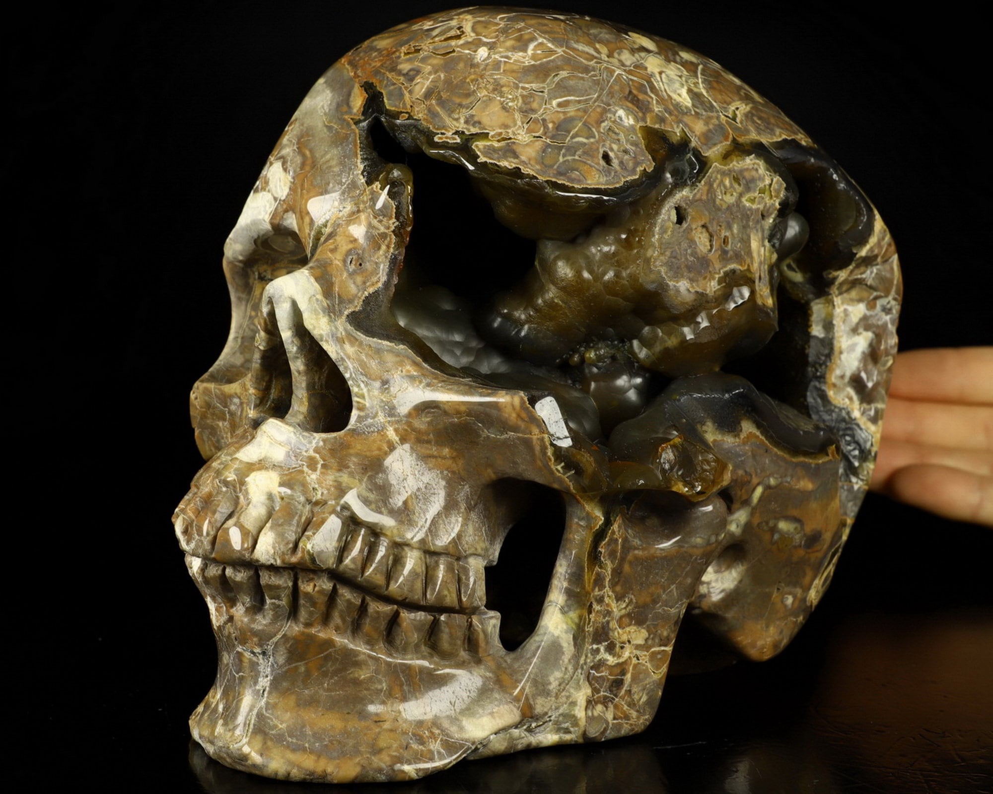 Skullis Crystal Skull, Lifesized 8.0