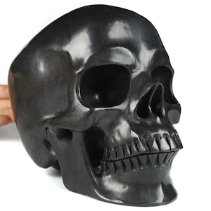 Skullis Crystal Skull, Lifesized 6.9&quot; Shungite Hand Carved Gemstone Skull, Super Realistic, Fine Art Sculpture, Gift, Crystal Healing.