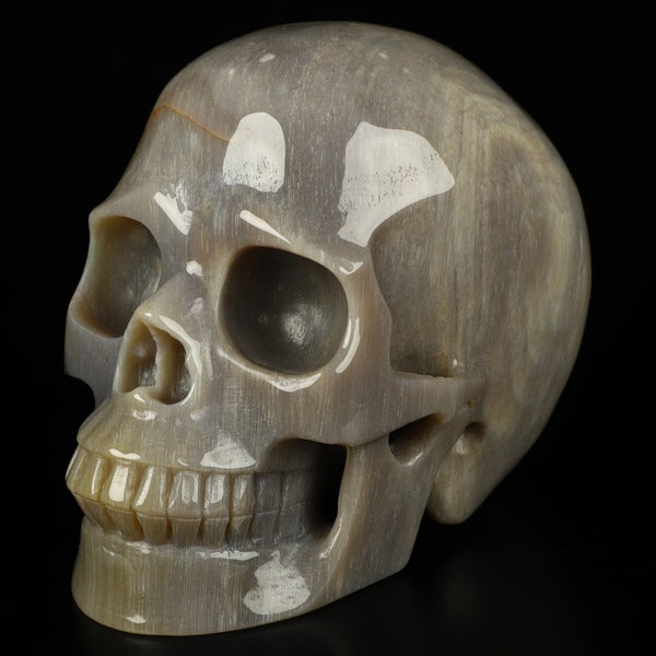Skullis Crystal Skull, 5.0" Petrified Wood Hand Carved Crystal Skull, Realistic, Crystal Healing, Collectible Fine Art Sculpture, Gift