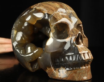 Skullis Crystal Skull, Lifesized 5.0" Dinosaur Egg Agate Hand Carved Crystal Skull, Realistic, Crystal Healing,Home Decor Sculpture, Gift.
