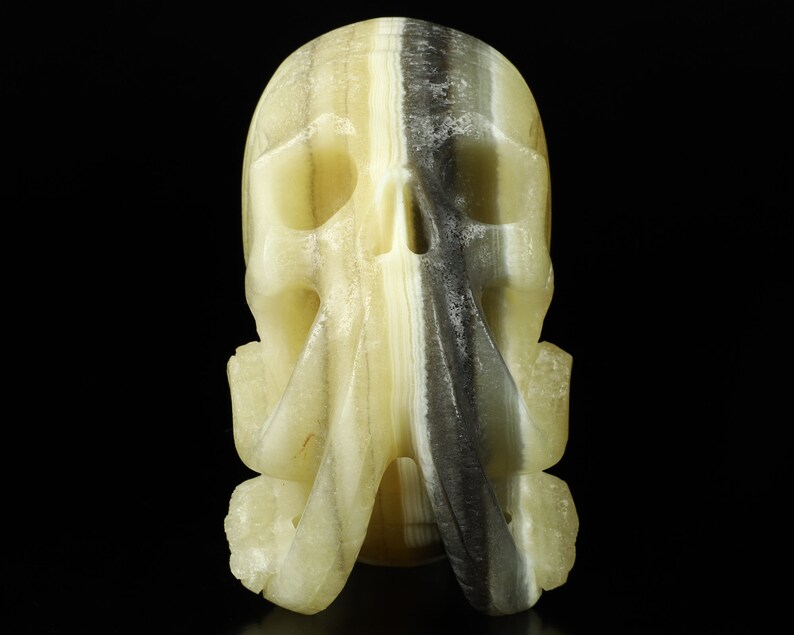 Halloween Decor, Oct 24th Skullis Daily DEALS 6/10, 5.8 Zebra Calcite