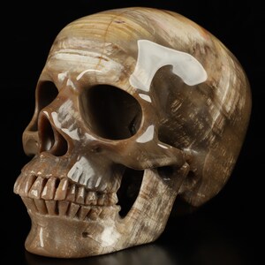 Skullis Crystal Skull, 4.4&quot; Petrified Wood Hand Carved Gemstone Skull, Super Realistic, Fine Art Sculpture, Gift