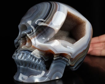 Skullis Crystal Skull, Super Realistic! Lifesized 6.1