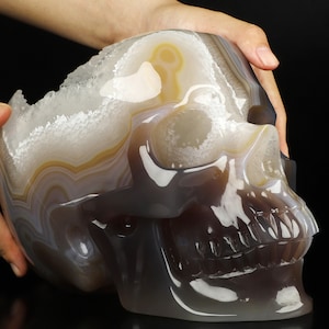 May include: A detailed agate skull sculpture with a white and brown banded pattern. The skull is carved with a detailed face and teeth.
