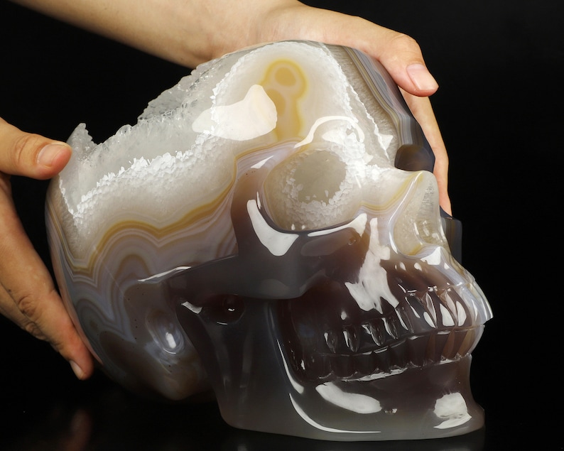 May include: A detailed agate skull sculpture with a white and brown banded pattern. The skull is carved with a detailed face and teeth.