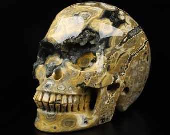 May include: A yellow, black, and white agate skull sculpture. The skull is carved with intricate details, including teeth and eye sockets. The agate has a swirling pattern of colors and textures.