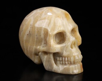 Skullis クリスタルスカル 2.0インチ サンゴ化石 手彫り クリスタル