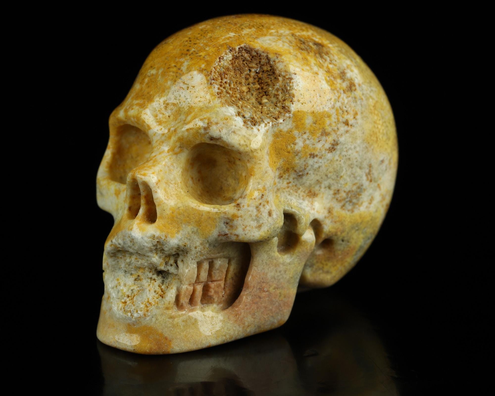 Skullis クリスタルスカル 2.0インチ サンゴ化石 手彫り クリスタル