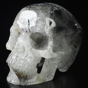 Skullis Crystal Skull, Cráneo de piedra preciosa tallada a mano de turmalina negra de 4,1", escultura de bellas artes coleccionable súper realista, curación de cristal.