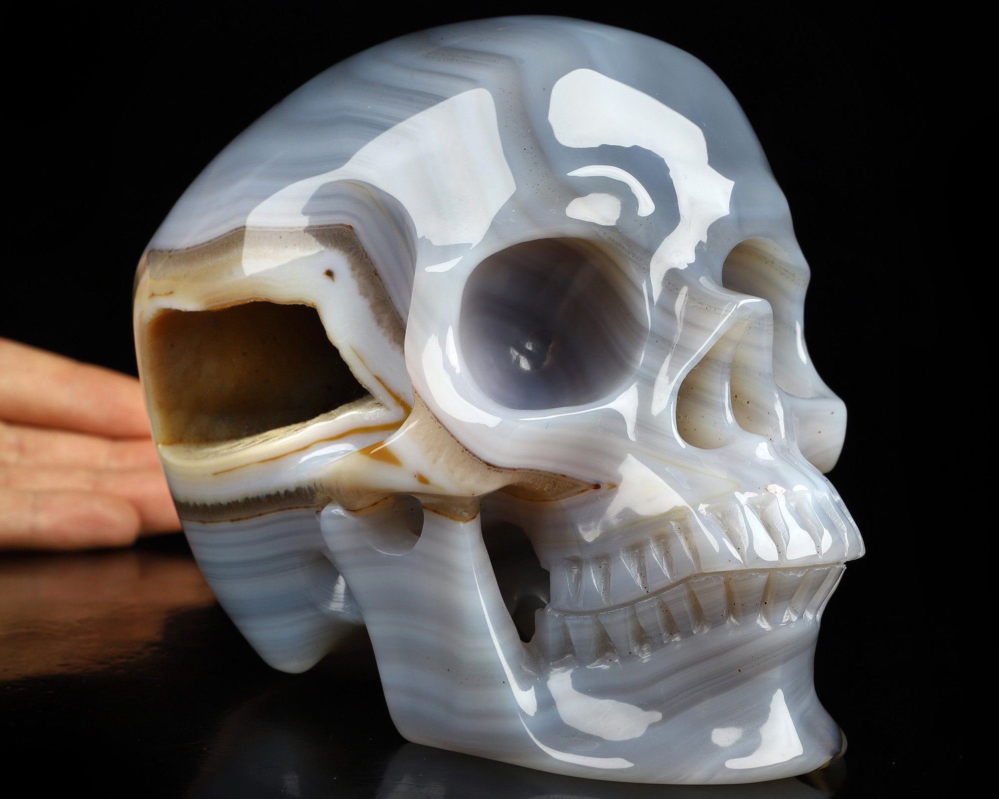 Skullis クリスタルスカル 超リアル！実物大 6.0インチ 高級ブラジル