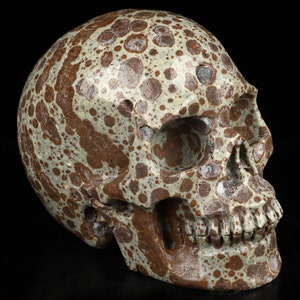 Skullis Crystal Skull, 3.5&quot; Asteroid Jasper Hand Carved Gemstone Skull,Realistic, Fine Art Sculpture, Gift