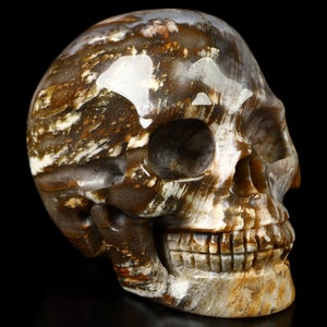Skullis Crystal Skull, 3.5&quot; Petrified Wood Hand Carved Gemstone Skull, Fine Art Sculpture,Gift
