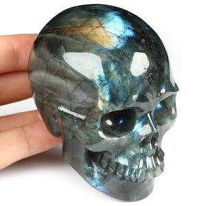 Puede incluir: Un cráneo de cristal de labradorita azul y verde. El cráneo está tallado en detalle y tiene un alto pulido.