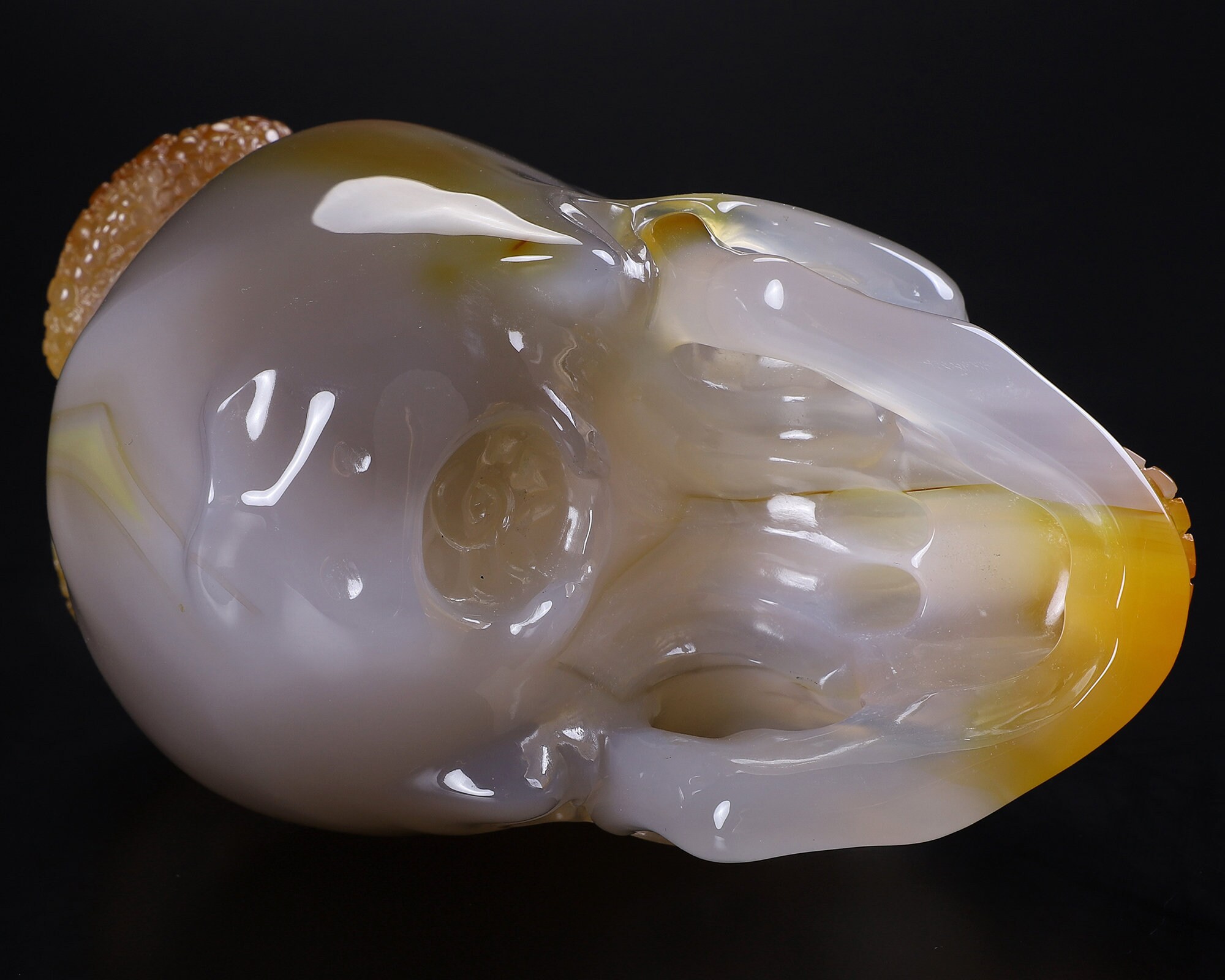 Toad Scull Skullis Crystal Skull, Five Poisons - 5.6