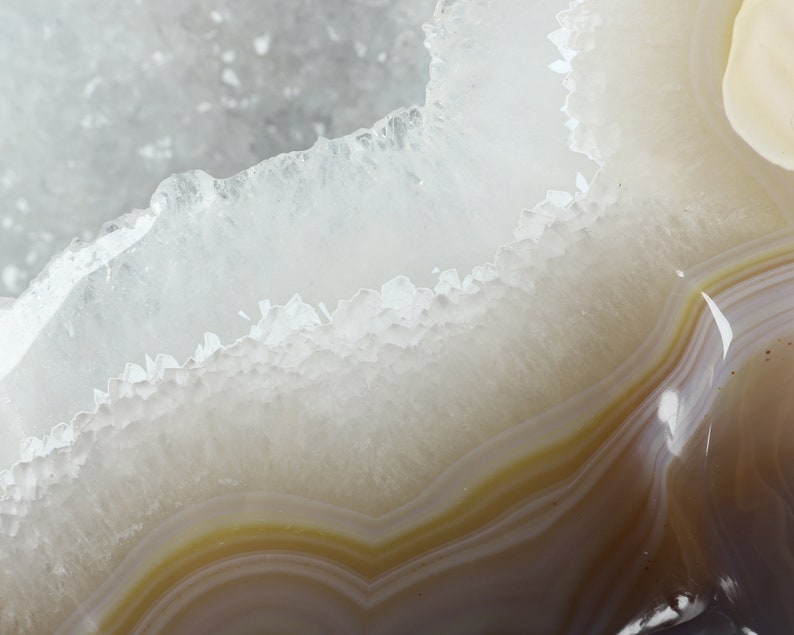 May include: Close-up of a white agate geode with brown and yellow banding. The geode is cut open to reveal the crystal formations inside.