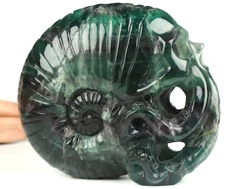 Skullis Crystal Skull, 5.9&quot; Fluorite Hand Carved Nautiloid Cthulhu Crystal Skull Sculpture, Fine Art Sculpture, Home Decor, Gift