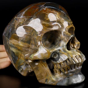 Skullis Crystal Skull, Lifesized 6.9&quot; Petrified Wood Carved Hand Carved Gemstone Skull, Super Realistic, Fine Art Sculpture, Gift.