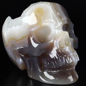 May include: A white, grey, and brown agate skull sculpture. The skull is carved from a single piece of agate and has a detailed, realistic design. The agate has a natural, banded pattern.