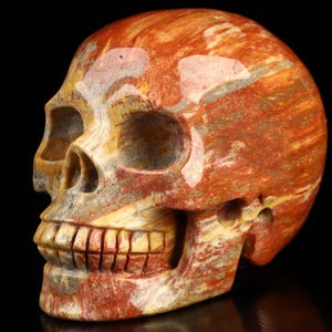 Skullis Crystal Skull, 3.9&quot; Petrified Wood Hand Carved Crystal Skull, Realistic, Crystal Healing, Fine Art Sculpture,Gift