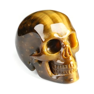 Puede incluir: Una calavera de piedra preciosa pulida con un patrón de ojo de tigre. La calavera presenta una mezcla de tonos marrón dorado y marrón oscuro, con un acabado brillante. Las cuencas de los ojos, la cavidad nasal y los dientes están claramente definidos.
