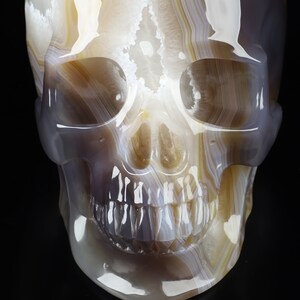May include: A white, grey, and brown agate skull sculpture. The skull is carved with detailed features, including eye sockets, a nose, and teeth.