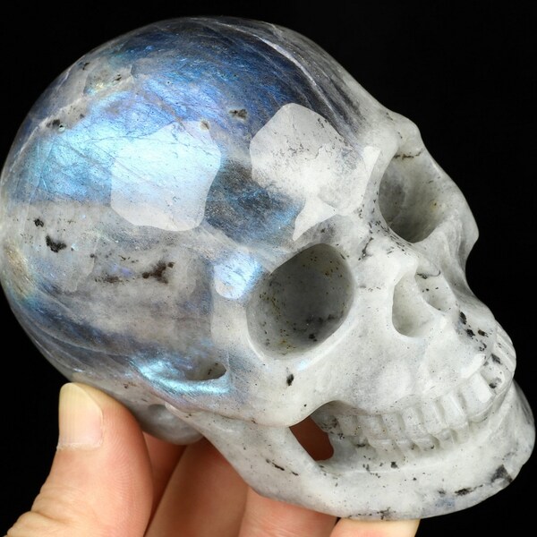 Skullis Crystal Skull, 4.1" Labradorite Hand Carved Gemstone Skull,  Realistic, Fine Art Sculpture, Gift
