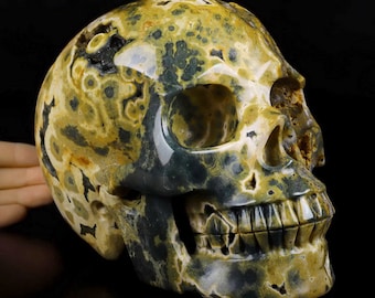 May include: A green, yellow, and white skull made of polished jasper. The skull is carved in detail, including the teeth and eye sockets.