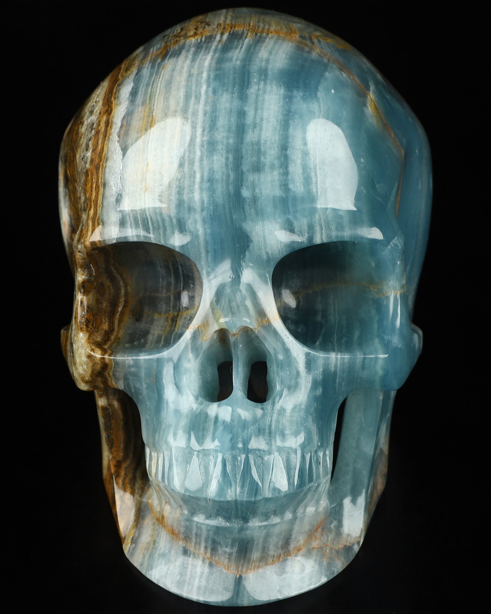 超リアル！等身大 7.0 インチ ブルー オニキス 手彫り