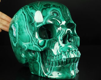 Skullis Crystal Skull, Museum Quality! Lifesized 9.8" Malachite&Chrysocolla Geode Hand Carved Crystal Skull, Crystal Healing, Gift