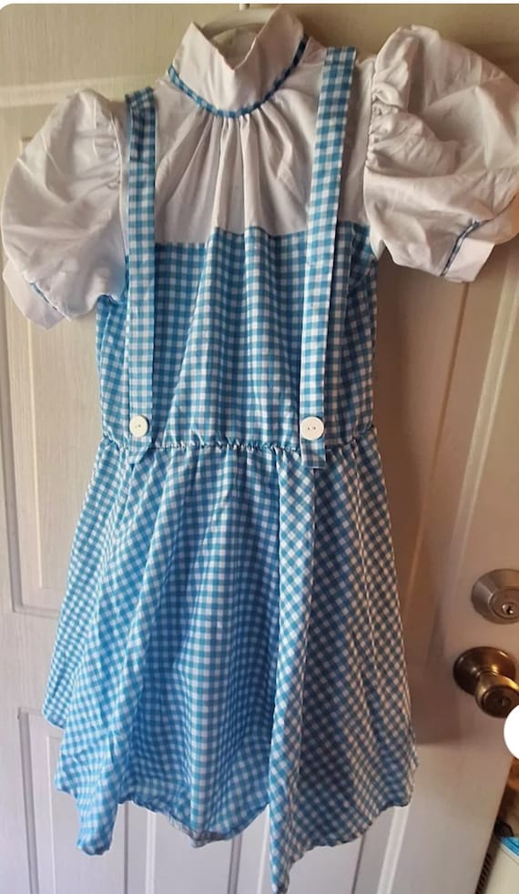 Wizard of Oz dress. Girls Size Large - image 1