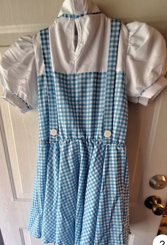 Wizard of Oz dress. Girls Size Large - image 4