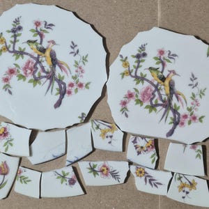 May include: Two large white ceramic shards with scalloped edges featuring colorful illustrations of birds perched on flowering branches, accompanied by twelve smaller broken pieces of white ceramic decorated with various floral and leaf motifs.