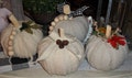 Pumpkin, Farm house pumpkins,  foam pumpkins,  drop cloth pumpkins, drop cloth product logo