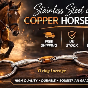 O Ring Snaffle Horse Bit Stainless Steel with Copper Lozenge Equestrian