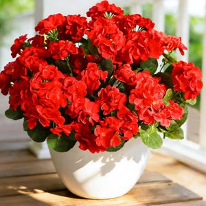 UV Resistant Artificial Geraniums Outdoor Flowers