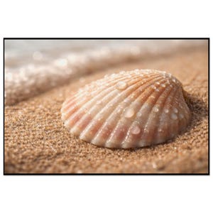 May include: A close-up of a seashell on a sandy beach. The shell is a light peach color with darker peach stripes and is covered in water droplets. The sand is a light brown color, and the ocean is visible in the background.