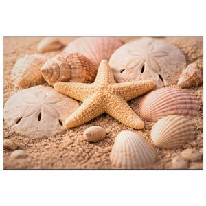 May include: A collection of seashells and a starfish on sand. The image features a large, textured starfish in the center, surrounded by various seashells in shades of beige, pink, and white. The scene evokes a beach theme.