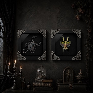 May include: Two square black frames with ornate silver corner accents. The left frame contains a dark scorpion specimen, while the right frame displays a green and yellow mantis with spread wings. Both are mounted against a black background.
