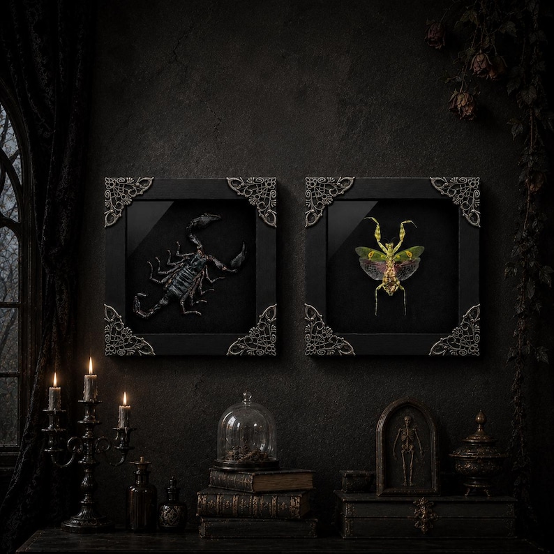 May include: Two square black frames with ornate silver corner accents. The left frame contains a dark scorpion specimen, while the right frame displays a green and yellow mantis with spread wings. Both are mounted against a black background.