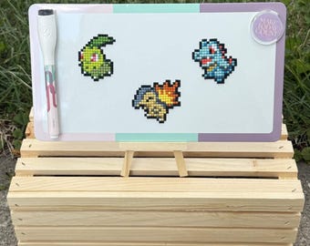 Diamond Art Magnet || Gen 2 Starters