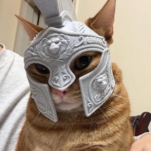 Hochwertiger epischer Gladiator-Katzenhelm – Kriegerkatzenrüstung – Lustiger Haustier-Cosplay-Helm – 3D-Modell – STL-Datei – Digitaler Download