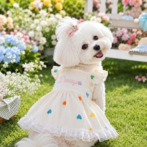 Personalized Embroidered Dog Dress,Cotton Puppy Dress with Bow,Cute Puppy Dress,Dog Lover Gift for Girl