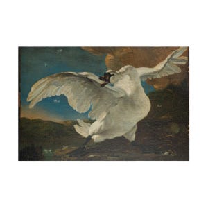 Può includere: Dipinto a olio di un cigno bianco con le ali spiegate, sullo sfondo di un cielo blu e di uno sfondo marrone strutturato. Il becco del cigno è aperto e le sue piume sono finemente dettagliate.