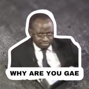 Waarom ben je homo? Memesticker