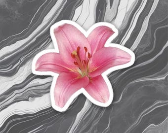 Pink Lily Flower Meme Sticker