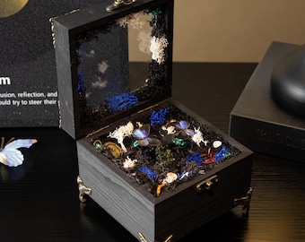 Caja de música giratoria con forma de mariposa, hecha a mano, con pantalla giratoria interna, pieza única de recuerdo artístico de entomología, música personalizable.