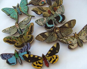 Lady of the Night, medium, wooden, MOTH, moth Brooch, choose style, brooch, by TinkerDee2 on etsy