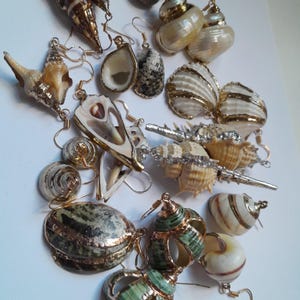 May include: A collection of various seashell earrings featuring natural shells in shades of white, tan, brown, green, and grey. Each shell is accented with metallic gold or silver trim along the edges and includes gold-toned metal earring hooks.
