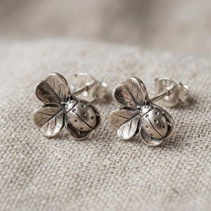 May include: A pair of silver stud earrings shaped like ladybirds with textured wings and a rounded body. Each earring features a post back mechanism and a detailed metallic finish, showcasing the insect's form with visible lines and small dots.